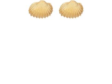 Tohum Design Women's Small Beach Shell Earrings