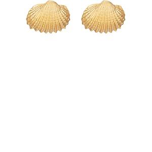 Tohum Design Women's Small Beach Shell Earrings-gold