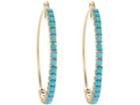 Irene Neuwirth Women's Turquoise & Gold Hoop Earrings