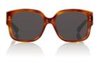 Dior Women's Ladydiorstuds Sunglasses