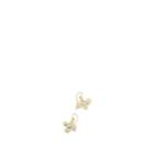 Judy Geib Women's Moonstone Drop Earrings - Gold