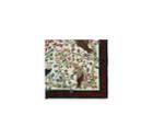 Gucci Men's Bird-and-flower-print Silk Crepe Pocket Square