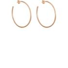 Tate Women's Rose Gold Hoop Earrings-gold
