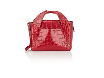 The Row Women's Two For One 10 Alligator Shoulder Bag & Pouch
