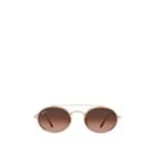 Ray-ban Men's Rb3847n Sunglasses - Brown