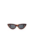Celine Women's Cat-eye Sunglasses - Blonde Havana