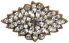 Deepa Gurnani Marquise Flower Clip - Tan