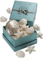 Gianna Rose Atelier Seashell Soaps In Polished Abalone Shell - White Honeysuckle And Baby Jasmine