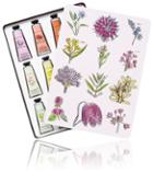Crabtree & Evelyn Hand Therapy Paint Tin - 12