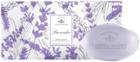 Caswell-massey Soap Box - Lavender