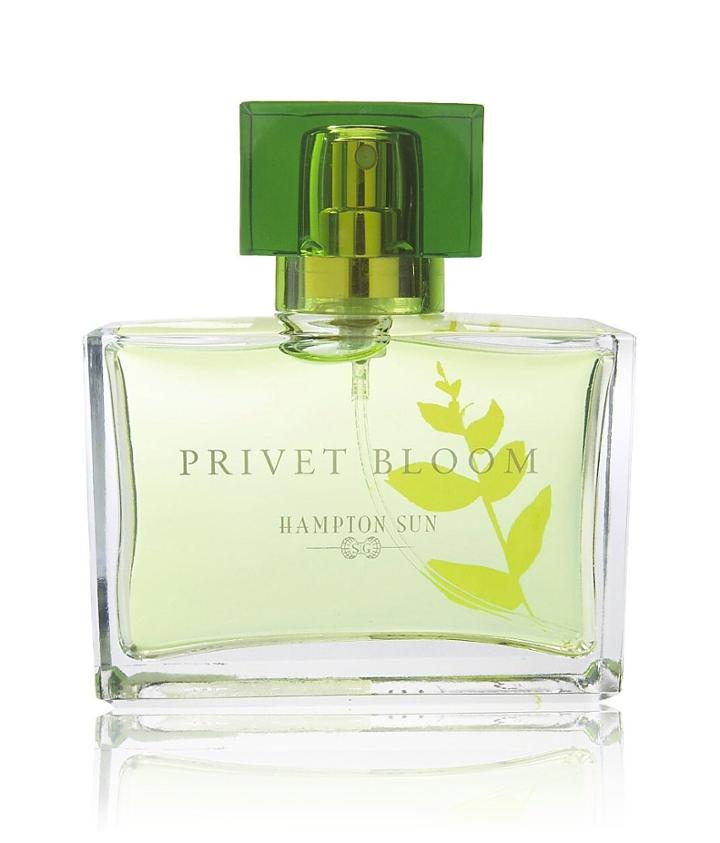 Hampton Sun Privet Bloom Eau De Parfum