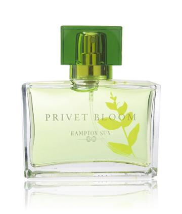 Hampton Sun Privet Bloom Eau De Parfum