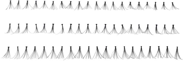 Japonesque Individual Lashes