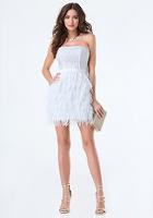 Bebe Lace & Feather Dress