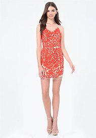 Bebe Rosa Embroidered Mesh Dress