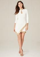 Bebe Shimmer Trim Dress