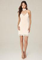 Bebe Marina Lace Choker Dress