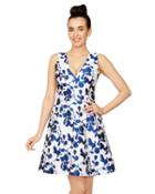 Steve Madden Crisp Spring Dress Blue/white
