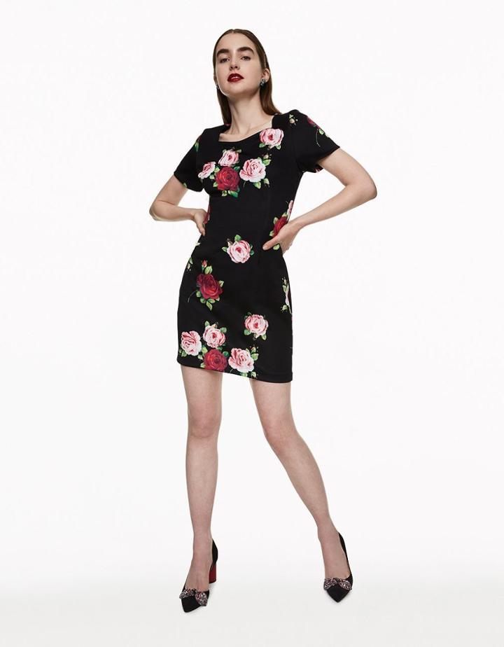 Betseyjohnson Floating Roses Dress Multi