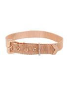 Steve Madden Boardwalk Sweets Buckle Choker Rose Gold