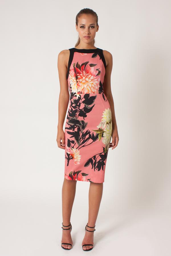 Black Halo Rohan Cb Sheath Dress In Coral Chrysanthemum, Size 0