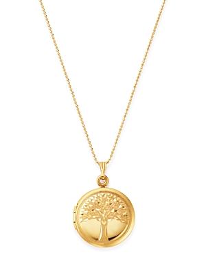 Bloomingdale's Tree Of Birds Locket Necklace In 14k Yellow Gold, 22 - 100% Exclusive