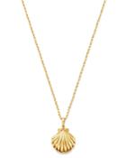 Moon & Meadow Shell Pendant Necklace In 14k Yellow Gold, 22 - 100% Exclusive