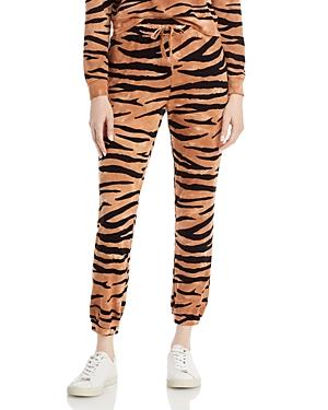 Sundown Playa Tiger Print Jogger Pants
