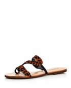 Schutz Women's Erzeli Leopard-print Flat Sandals