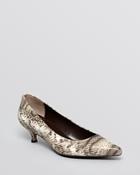 Stuart Weitzman Pointed Toe Pumps - Poco Stone Ombre Ayers