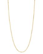 Bloomingdale's 14k Yellow Gold Round Box Chain Necklace, 30 - 100% Exclusive