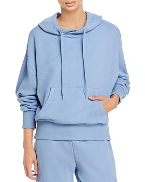 Aqua Cotton Hooded Sweatshirt - 100% Exclusive