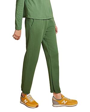 Velvet By Graham & Spencer Zuma Jogger Sweatpants