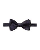 Eton Paisley Silk Bow Tie