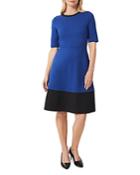 Hobbs London Petite Simona Color Blocked Dress