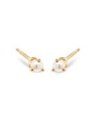 Zoe Chicco 14k Yellow Gold White Pearls Cultured Freshwater Pearl Stud Earrings