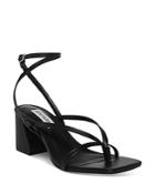 Steve Madden Women's Alaina Block Heel Sandals