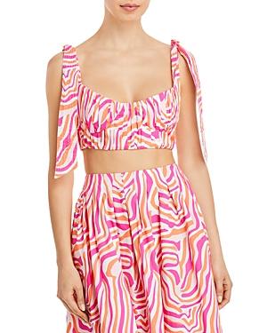 Solid & Striped The Frankie Zebra Print Bra Top