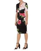 Ted Baker Gilanno Magnificent Dress