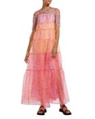 Staud Hyacinth Ruffled Maxi Dress