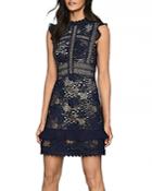Reiss Lena Fitted Lace Dress