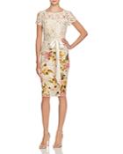 Adrianna Papell Printed Lace Dress