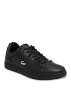 Lacoste Men's Carnaby Evo Lace Up Sneakers