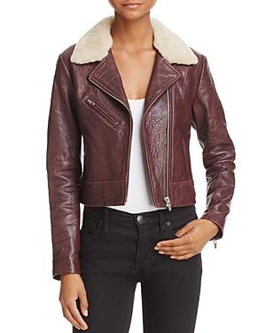Veda Nova Shearling-collar Leather Jacket