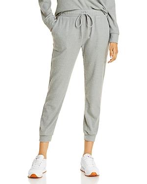 Aqua Waffle Knit Jogger Pants - 100% Exclusive