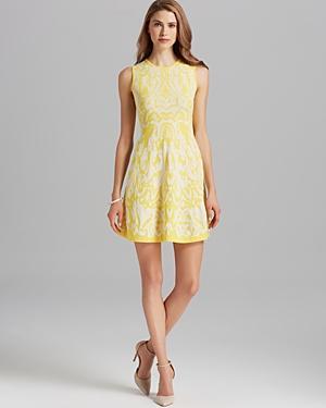 Shoshanna Dress - Becky Sleeveless Ikat Knit Fit And Flare