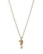 Ajoa By Nadri Vacay Pave Seahorse Paperclip Link Pendant Necklace In 18k Gold Plated, 16-18