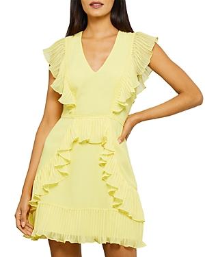 Bcbgmaxazria Flounce Ruffled Mini Dress