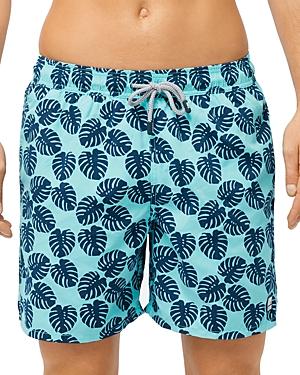 Tom & Teddy Monstera Leaf Swim Trunks
