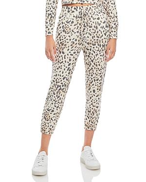 Sundry Knit Leopard-print Joggers